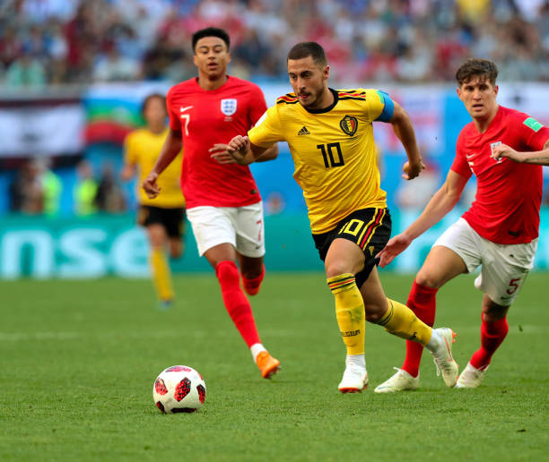 这是因为蜂 这是因为蜂